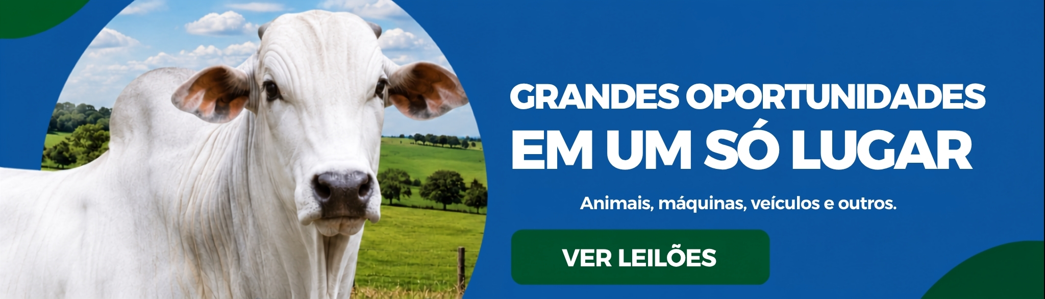 Grandes oportunidades em animais, máquinas e veículos